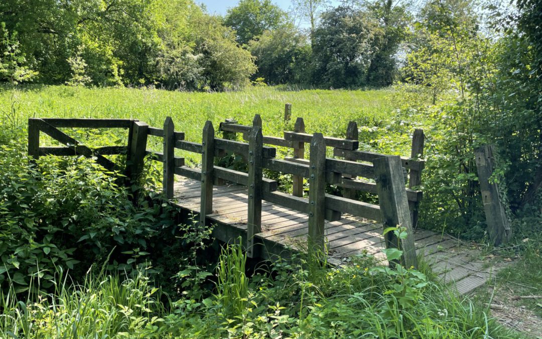 Landschapswandeling Alden Biesen